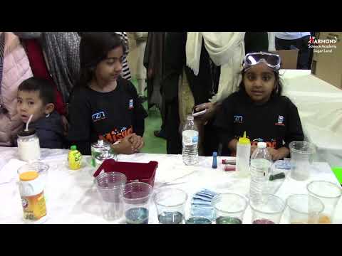 STEAM & International Festival 2019 - Harmony Science Academy Sugar Land