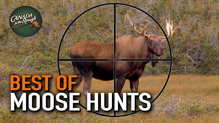 20 Moose Hunts in 20 Minutes! (ULTIMATE Moose Hunting Compilation) | BEST OF