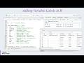 Adding Variable Labels in R | Clean and Professional Dataset