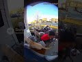 Dogs attack innocent delivery driver #funny #funnydog #laughoutloud #sora #pizzadelivery #laughing