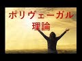 ポリヴェーガル理論【札幌 谷井治療室】