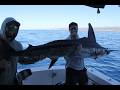 Marlin &amp; Dorado Sports Fishing Cabo San Lucas