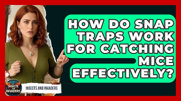 How Do Snap Traps Work For Catching Mice Effectively? - Insects and Invaders