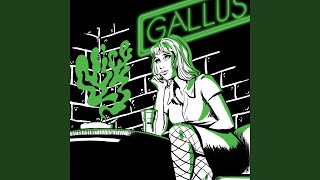 Video thumbnail of "Gallus. - Nice"