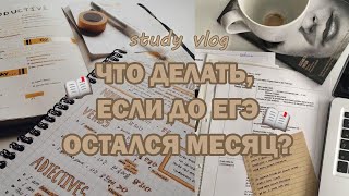 study vlog// как за МЕСЯЦ подготовиться на 90+?/ пошаговый план