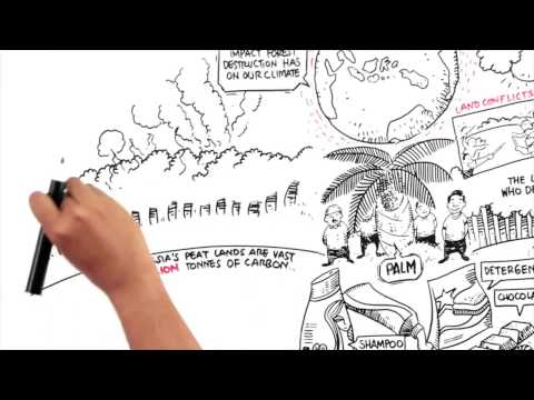 Protect Paradise An Animation about Palm Oil