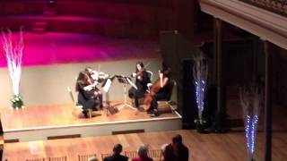 Quasi Sorelli String Quartet