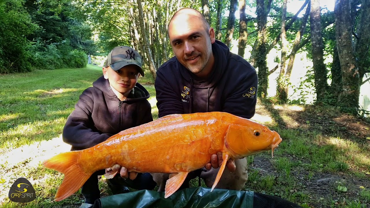 session de printemps 2020 à l'étang du Puy de Bost YouTube