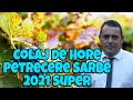 Muzica De Petrecere 2021  Cele Mai Tari Melodii De Petrecere 2021 Sorinel de la Plopeni