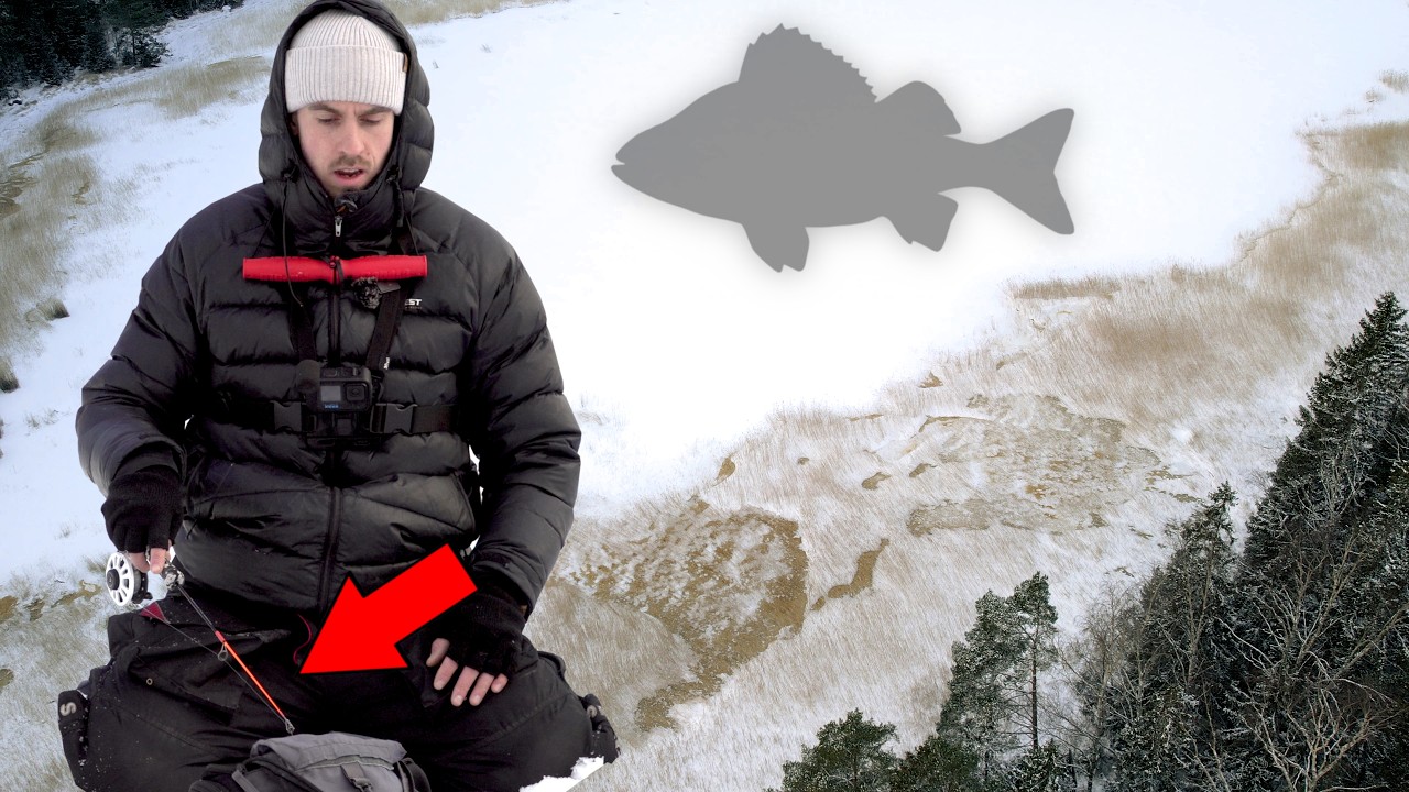 SAANKO PYYDYSTETTYÄ LAMMEN MONSTERIAHVENEN ? Tasurien vuoro..