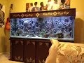 135 Gallon Reveal 135 Gallon Reveal