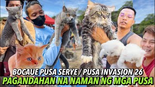 PUSA NG BOCAUE, NAGPASIKLABAN NA NAMAN | PUSA SERYE | BOCAUE PET MARKET | APRIL 05, 2024