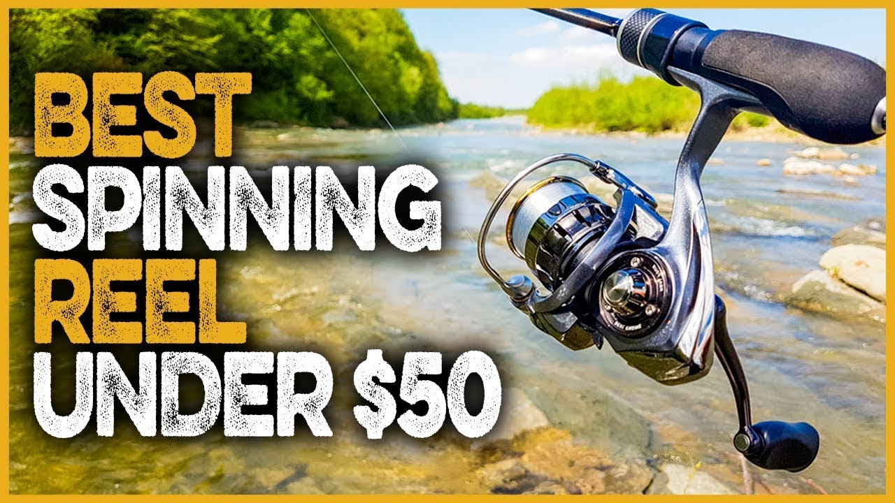 Best Spinning Reel Under 50 in 2022 Best Budget Spinning Reel Under