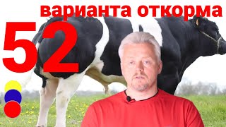 Откорм бычков - 52 варианта, выберите оптимальное решение для вашего откорма | параметры откорма