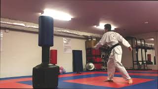 Riverside Taekwondo Kicking Sampler (Aaron Barkasy)
