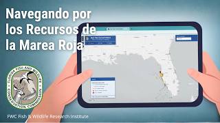 Navegando por los Recursos de la Marea Roja