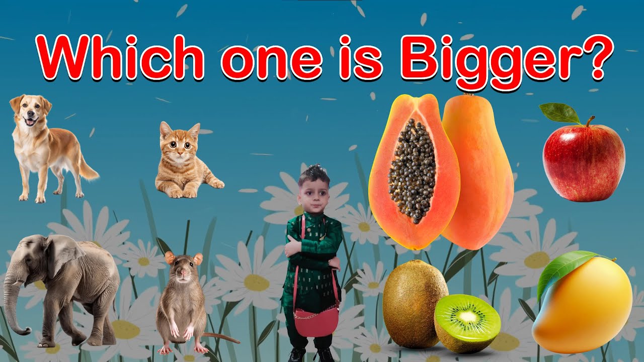 📏🌈 Which Is Bigger? Kids Size Challenge! || Kushal Tanmay Kids Videos