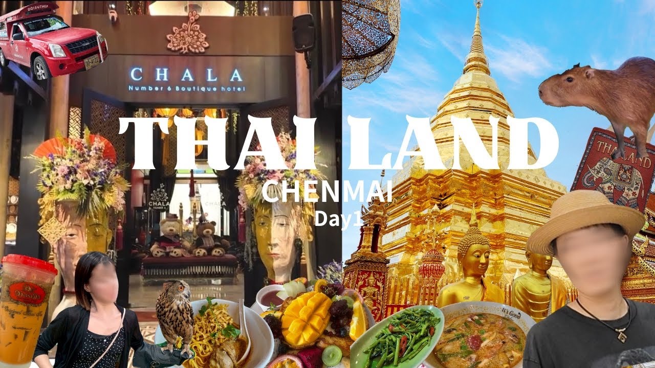 【タイ🇹🇭】#1 チェンマイ初日から全開💨グルメ、ショッピング、ナイトサファリを1日で楽しみ尽くす❤️‍🔥❤️‍🔥