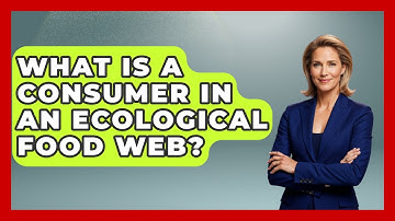 What Is A Consumer In An Ecological Food Web? - Explaining Ecology