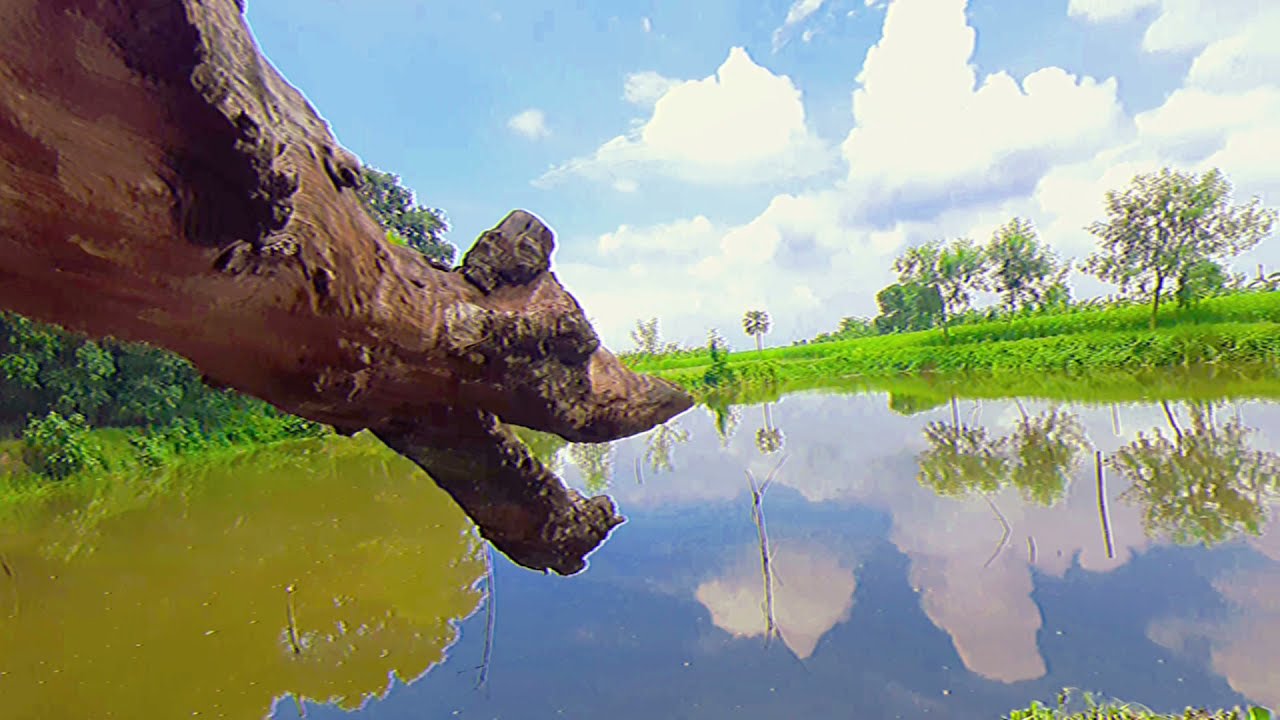 𝗗𝗲𝗲𝗽 𝗶𝗻𝘁𝗼 𝘁𝗵𝗲 𝗡𝗮𝘁𝘂𝗿𝗲. 