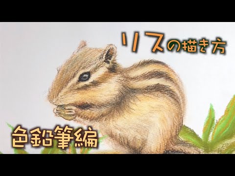 動物 パステル色鉛筆でリアルなリスを描いてみた How To Draw A Squirrel With Color Pencils Youtube