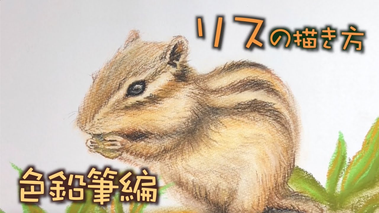 動物 パステル色鉛筆でリアルなリスを描いてみた How To Draw A