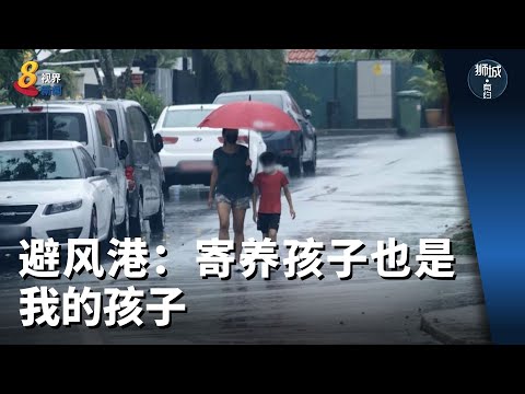 狮城有约 | 避风港：寄养孩子也是我的孩子