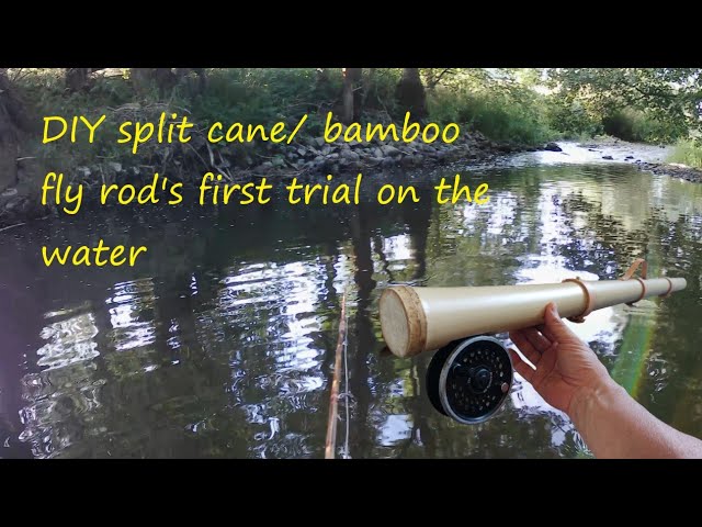 DIY split cane / bamboo fly rod`s first trial on the water 