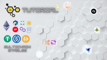 1Hive TV - Multichain Stablecoin Tutorial - Arbitrum + Polygon + xDai + more!