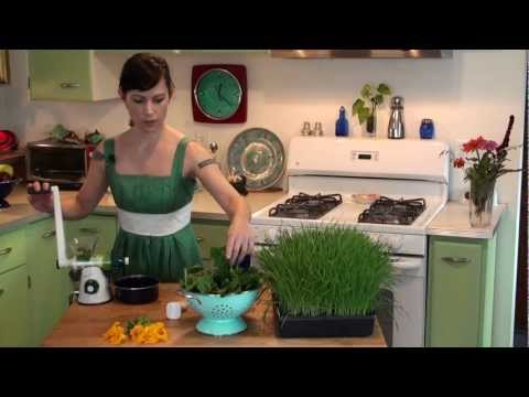 Manual Wheatgrass Juicer - Healthy Juicer by Lexen Products