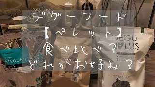 【デグー】デグーの副食ペレット選抜戦【degu】