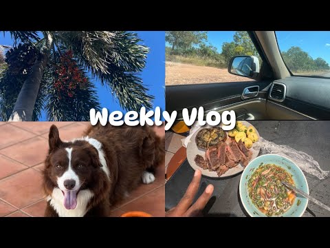 Weekly Diaries 🌿 | Cooking | Errands | Baking