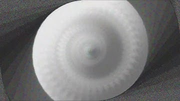 Simulated Video Feedback on the GPU (Run 8797)