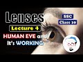 LENSES, Lecture 4, Class 10 SSC | HUMAN EYE | Maharashtra state board, Science 1