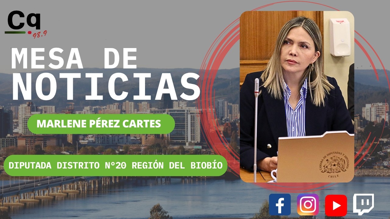 maxresdefault Marlene Pérez Cartes diputada por el Distrito N°20 Región del Biobío