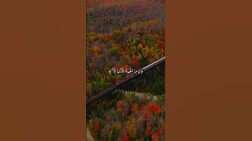 وما الحياة الدنيا إلا لعب ولهو - عبد الباسط عبد الصمد - قرآن الكريم