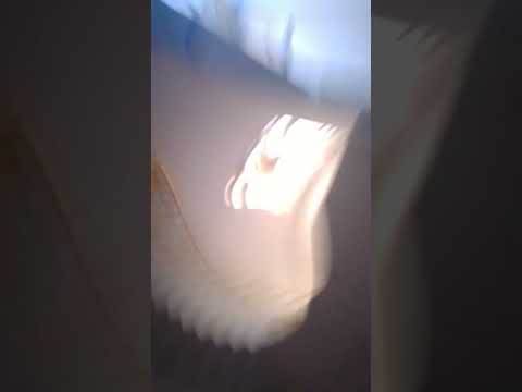 ٢٤ أغسطس ٢٠٢٥