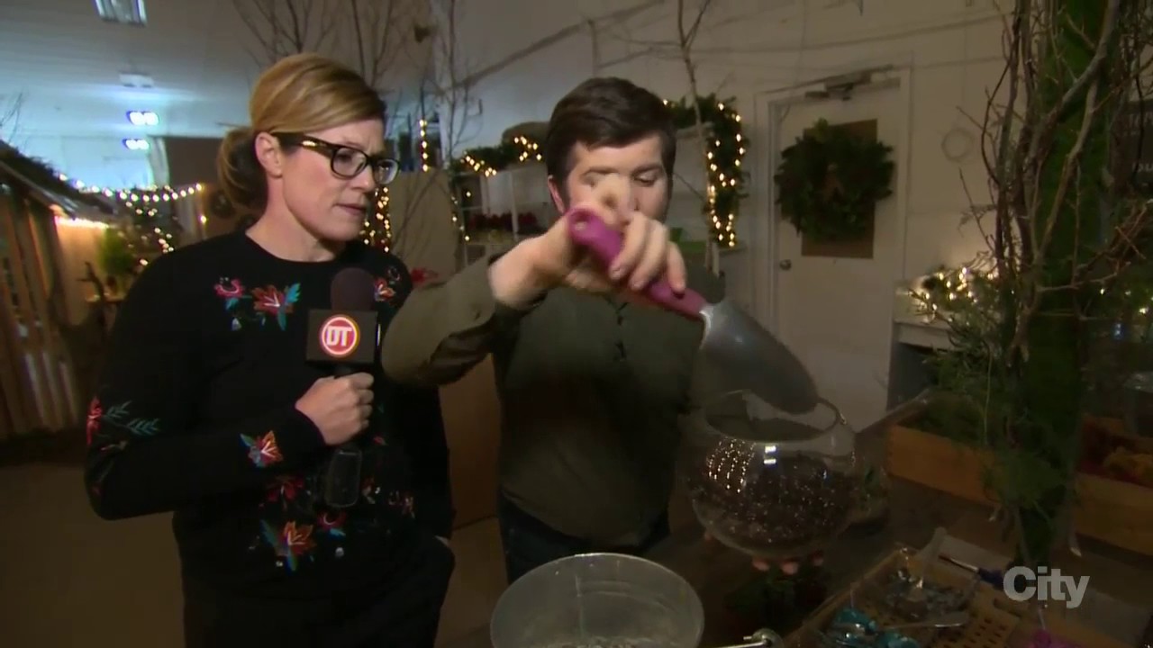 Live Eye 6 - Christmas Garden 20161212