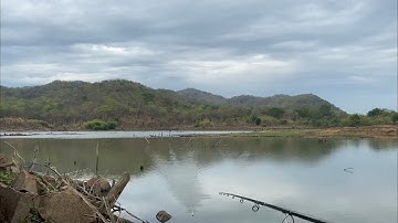 Tập 46: câu cá lóc , nấu nướng trên rừng thượng nguồn