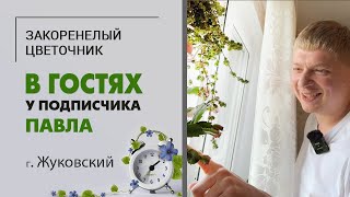 В гостях у Павла г. Жуковский. Шикарная коллекция растений на небольшой площади.