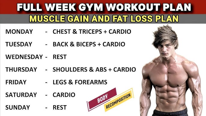 What is the Best Gym Workout for Weight Loss? Ultimate Guide