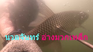 V-Spearfishing ดำน้ำยิงปลา Ep 48 เจอนวลจันทร์ กา นิล กระสูบเจ้าประจำ