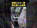新郎にもう一度惚れ直した花嫁