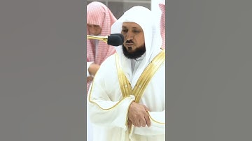 تلاوة مرئية سورة البقرة الشيخ ماهر المعيقلي