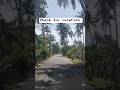#monsoon #kerala #viralshorts #viralvideo #shorts #ytshorts #youtubeshorts #bgm