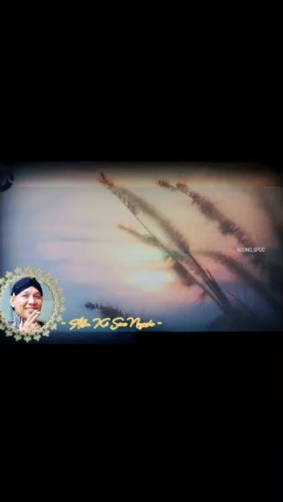 PITUTUR SEMAR KEHIDUPAN ||  story wa#wejang #shorts #dalangseno #wayangkulit #storywa30detik #semar