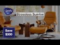 Stressless Sunrise Recliner - Featured Stressless Recliner by Designer Home Comfort