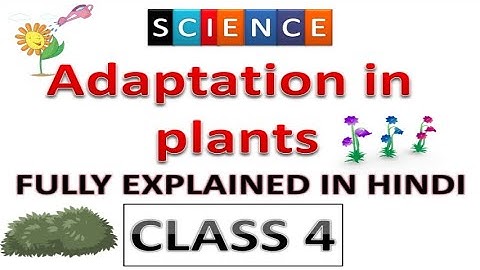 adaptation in plants class 4 | class 4 Science | fully explained in hindi | Science | Adaptation