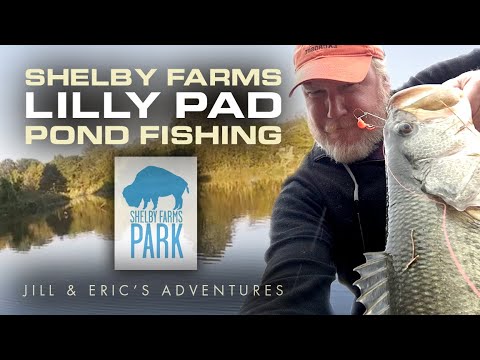Shelby Farms Park – Bass Fishing at the Lilly Pad Pond