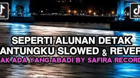 SEPERTI ALUNAN DETAK JANTUNGKU || TAK ADA YANG ABADI SLOWED & REVERB BY SAFIRA RECORD VIRAL TIKTOK